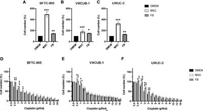 Tumorigenic effects of human mesenchymal stromal cells and fibroblasts on bladder cancer cells